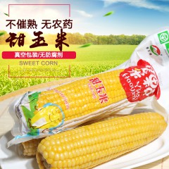 黄羊河 一颗好玉米【甜玉米 - 黄色】真空开袋即食熟甜玉米棒 250g